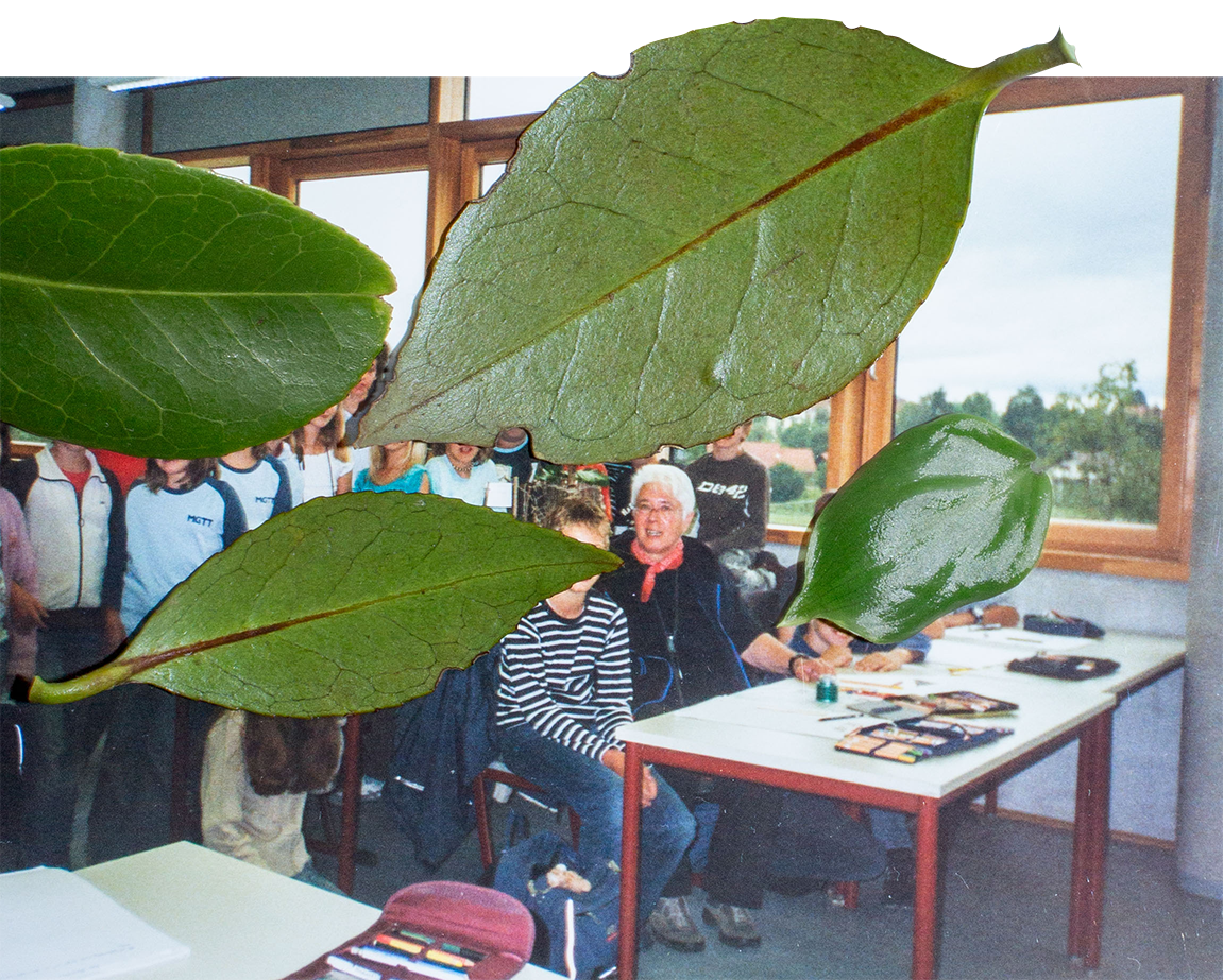 Tettnang Montfort-Gymnasium — 65